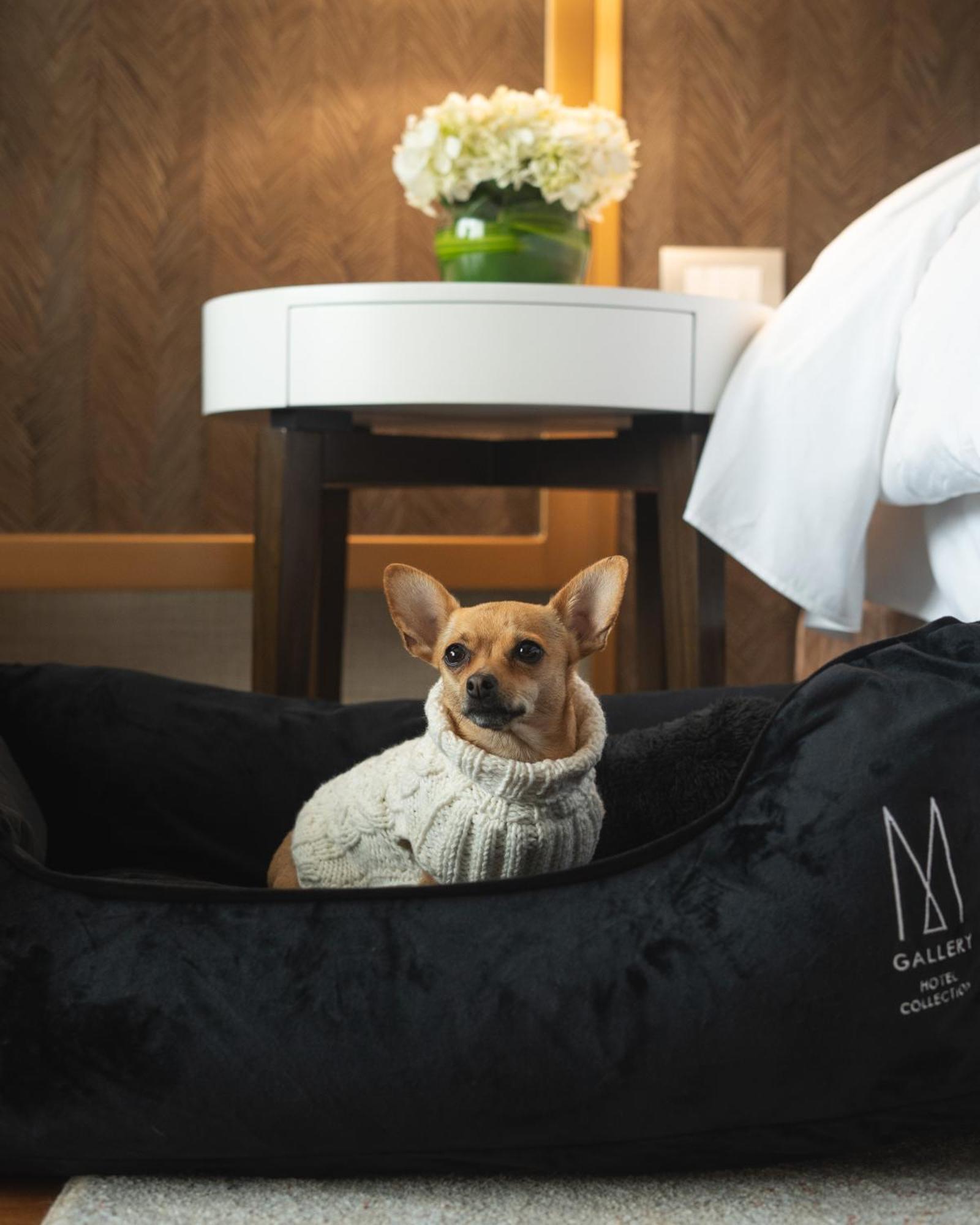 Hotel Manto - Mgallery Collection Lima